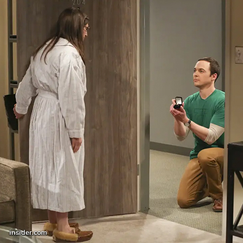 Sheldon and Amy from "Big Bang Theory" engagement proposal