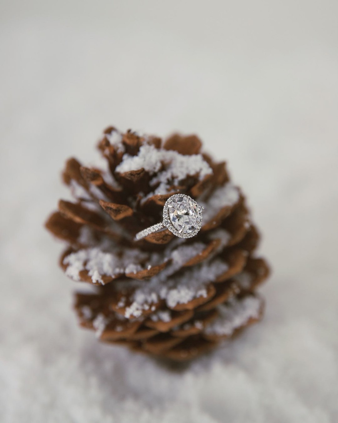 Have you met our Classic Cathedral Halo Pavé Engagement Ring❄😌
💍ring: 18009P
.
.
.
#jamesallen #jamesallenrings #diamond #diamonds #diamondring #engaged #engagement #engagementring #isaidyes #ringinspo #holidayseason #winter #winterstyle #winterengagement