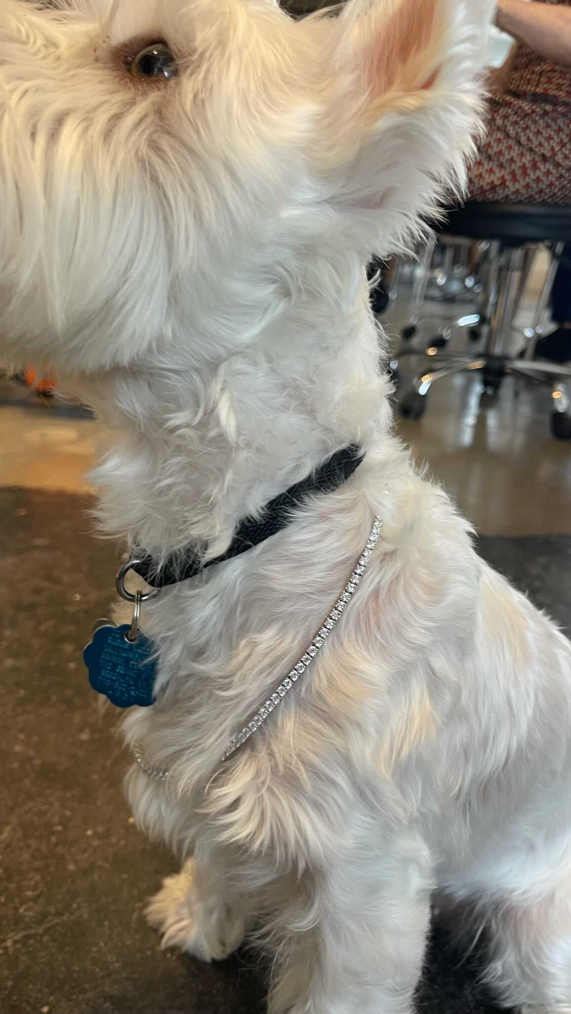 Unique Engagement Rings That Chic It Up