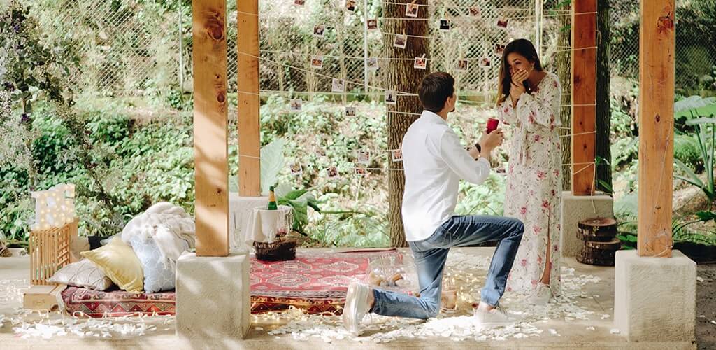 Romantic picnic surprise proposal